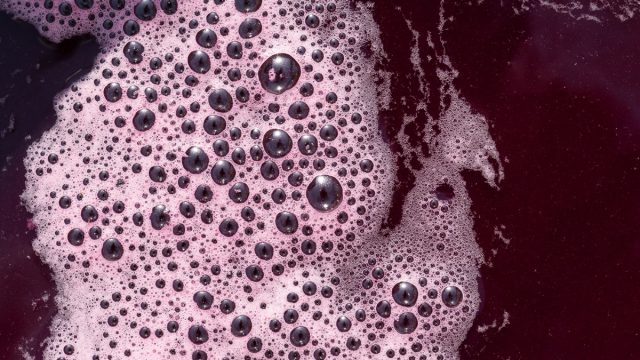 This Surprising Juice Blend May Reduce Arthritis Pain Experts Say Eat This Not That