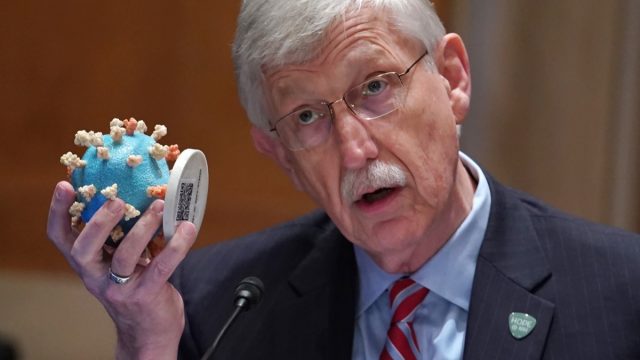 Senate Hearing Considers NIH Budget And State Of Medical Research