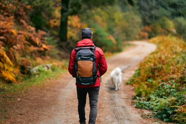 man walking with dog on trail with backpack on