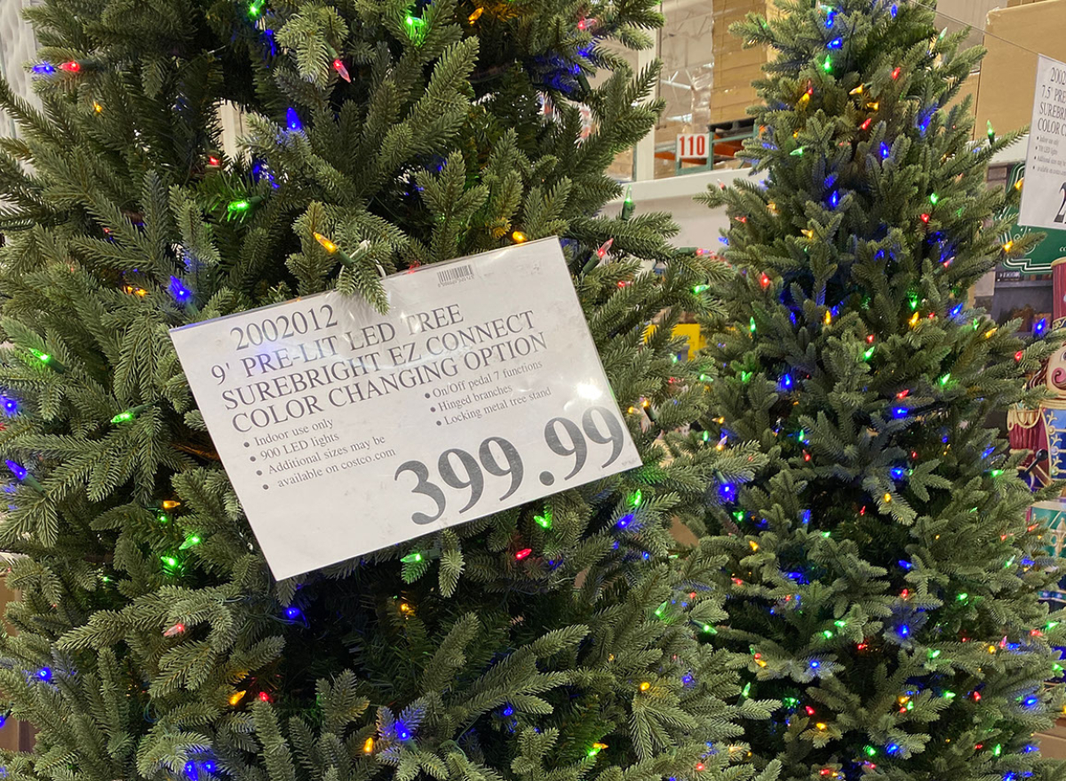 Has anyone bought the Costco Christmas Tree and check to see which