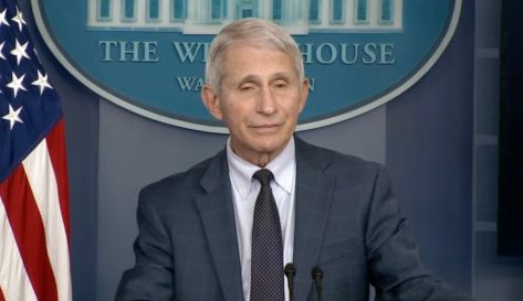 Dr. Anthony Fauci during White House Conference