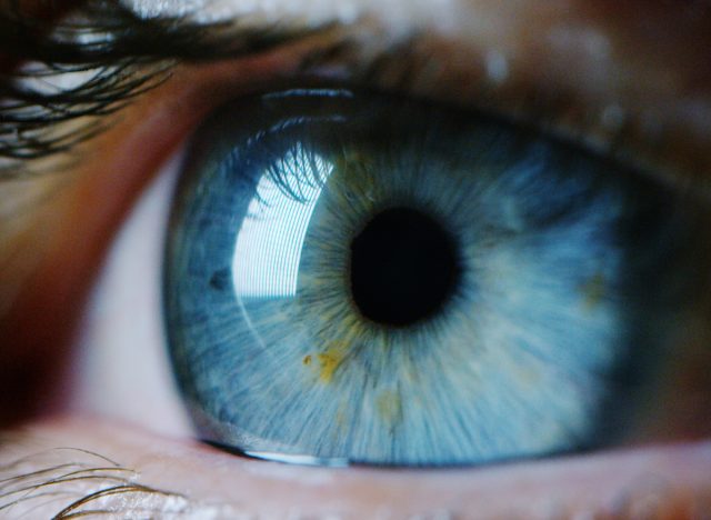 close-up of a blue eye