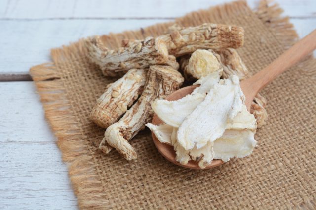 Dang gui (angelica sinensis) and dang gui ginseng slice on wooden spoon, traditional chinese herbal medicine.