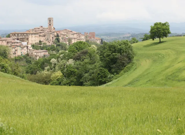 olive garden tuscany