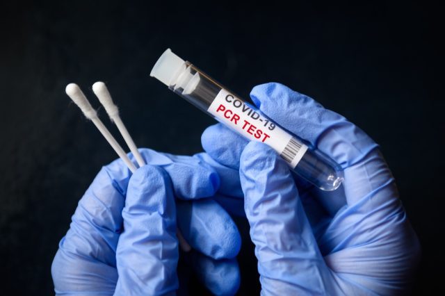 COVID-19 swab collection kit in doctor hands, nurse holds tube of coronavirus.