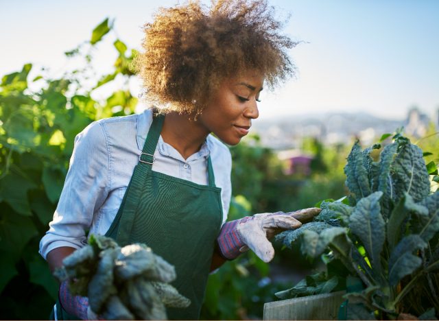 happy woman tends to veggie garden