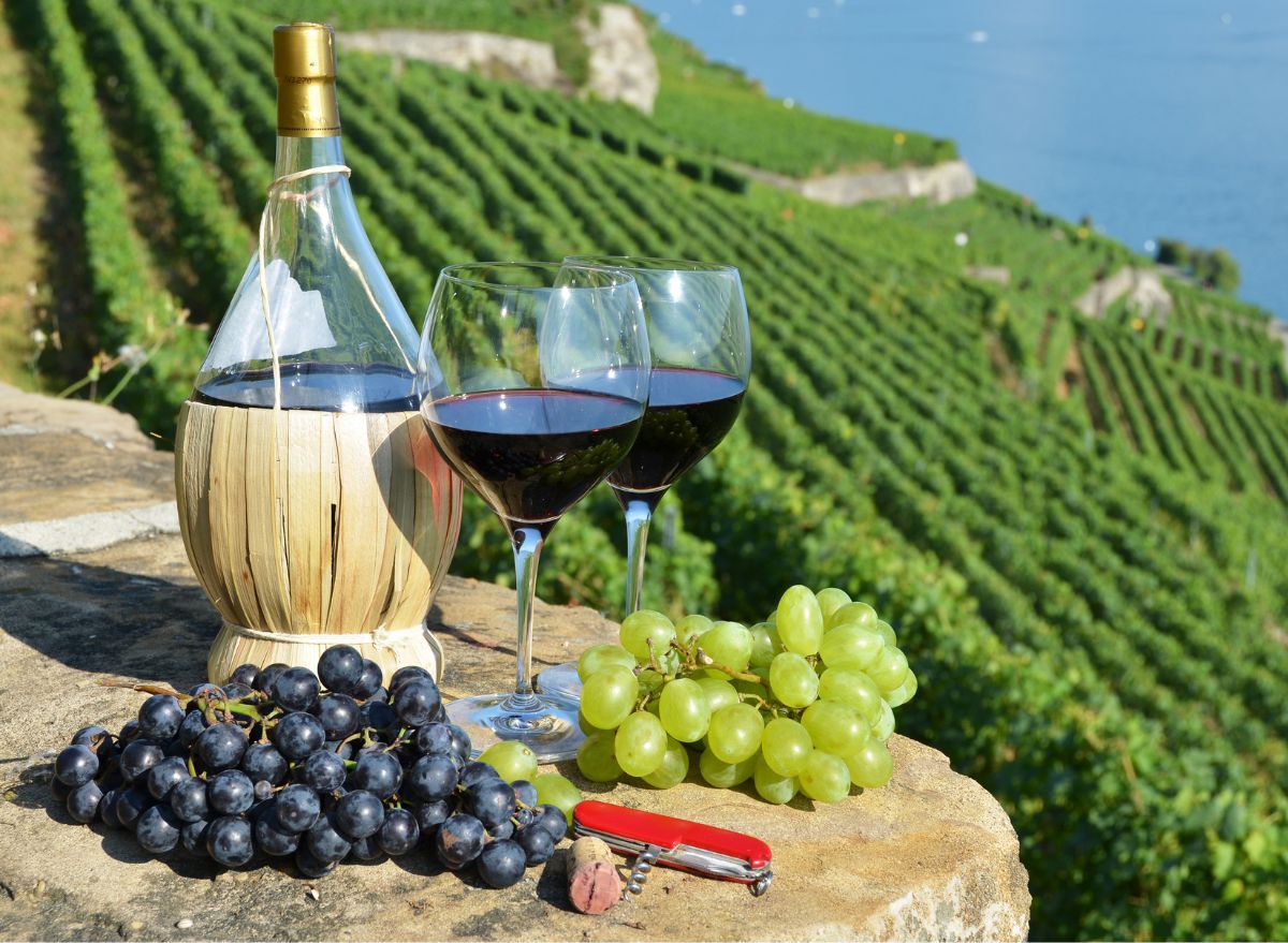 Ce pays produit le meilleur vin du monde, selon de nouvelles données – Eat This Isn’t That