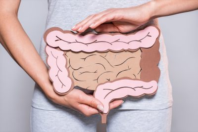 Partial view of woman holding paper made large intestine on grey background.
