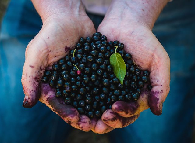 handful of maqui berries