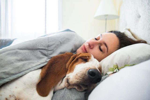 жена спи спокойно в леглото с кучето си