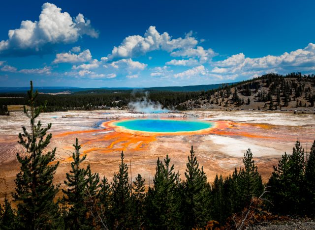 yellowstone national park