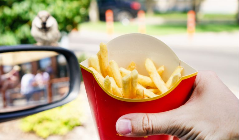 holding mcdonald's fries