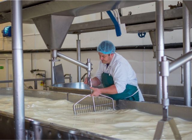 milk making cheese