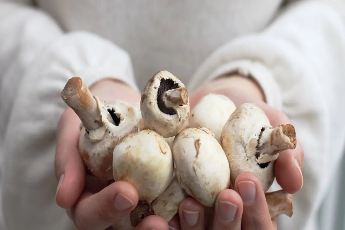 One Major Side Effect of Eating Mushrooms, Says Dietitian — Eat This
