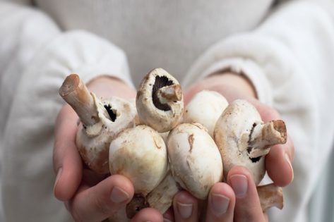 Major Side Effect of Eating Mushrooms