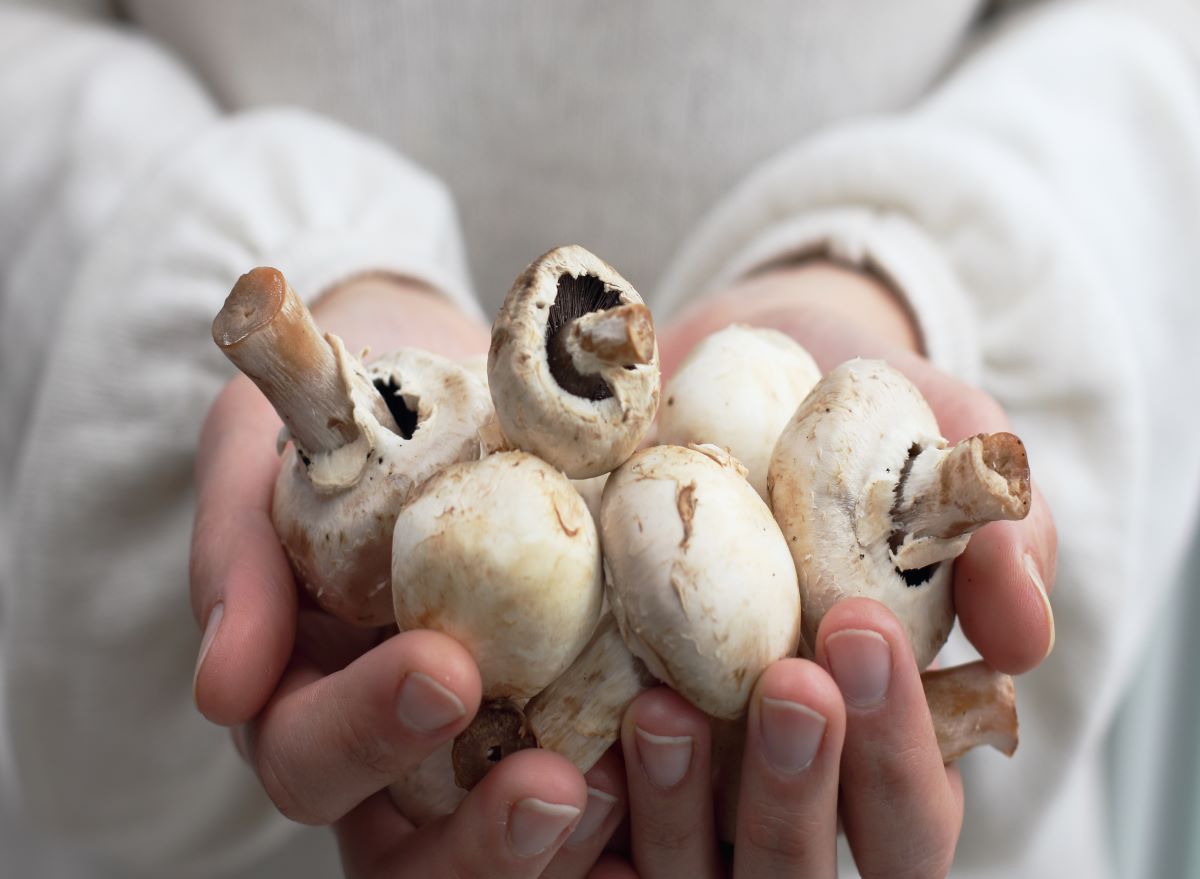 Holding Mushrooms in Hands