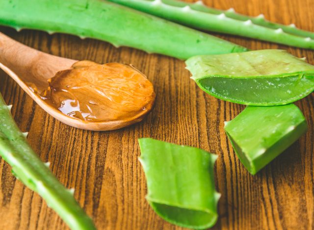 aloe gel and plant