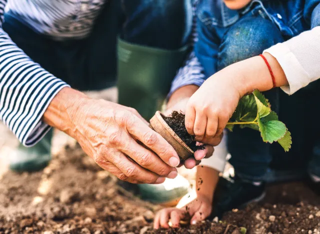 older woman gardening with grandchild closeup