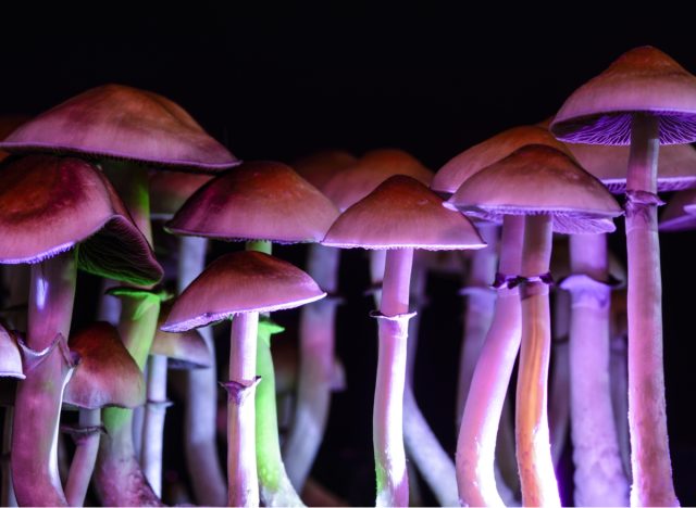 magic mushrooms