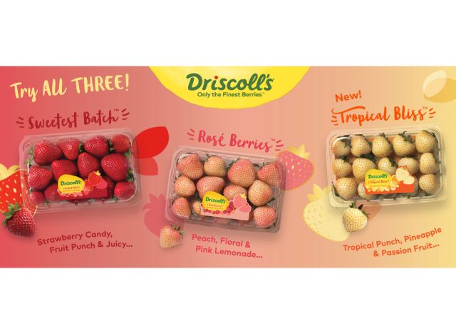 driscoll's new berries
