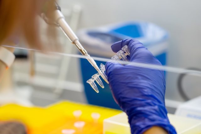 Scientist pipetting sample into vial for DNA testing