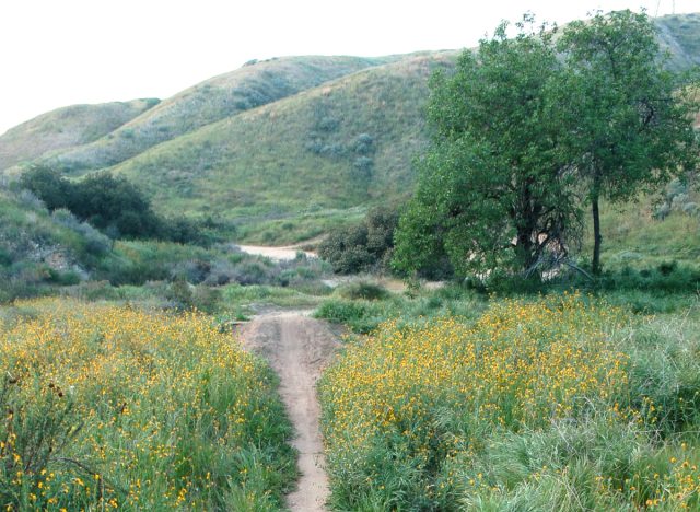 Loma Linda, California blue zones