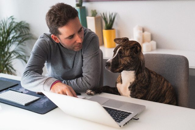 man works at his computer, explains something to his dog, baby talk