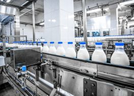 milk production at factory