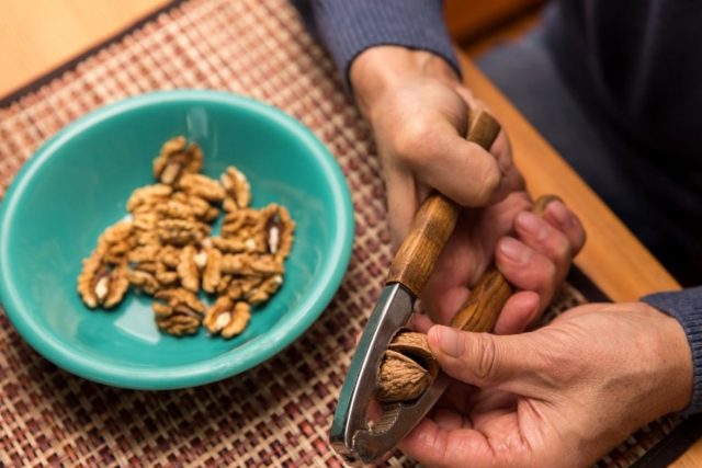 person eating walnuts