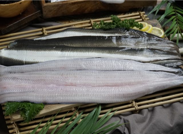 raw eel