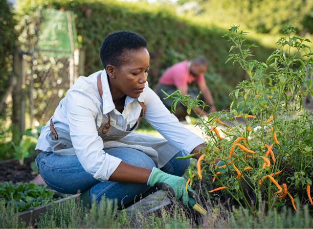 woman gardening, burn calories without exercising