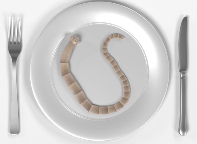 The Tapeworm Diet