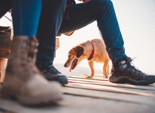 hiking close up with dog