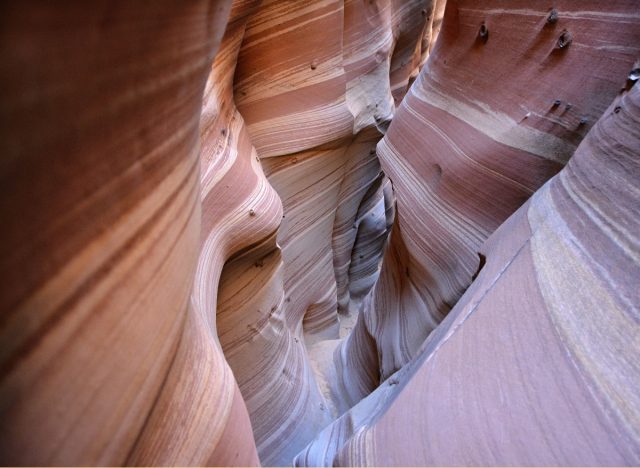 Little Wild Horse Canyon