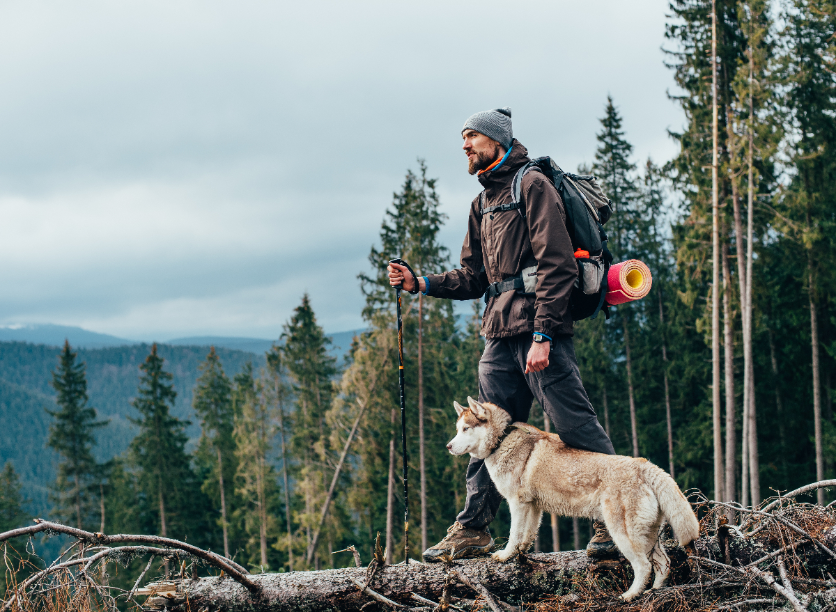 man hiking with his dog, scenic backdrop, the best hikes to take with your dog