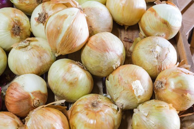 Vidalia Onion