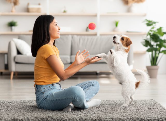 woman training her dog with ball, exercises to do with her dog indoors