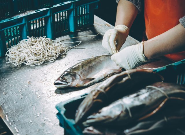 worker holding fish in factory