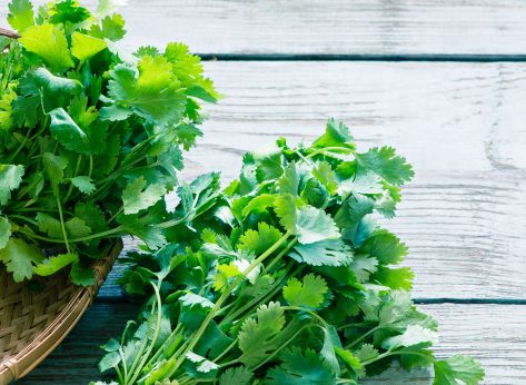 5 Surprising Effects of Eating Cilantro