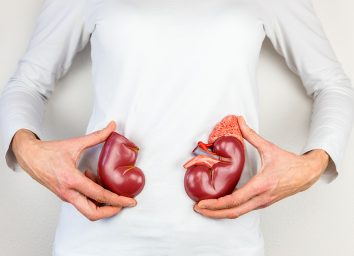 Showing kidneys