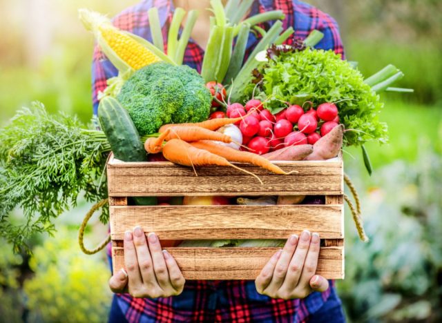 garden foods