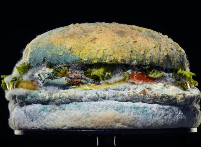 Burger King's Moldy Whopper