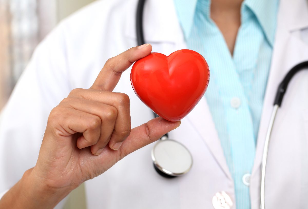 doctor holding heart