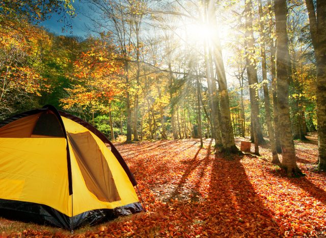 autumn leaves and campsite demonstrating the camping habits that slow aging