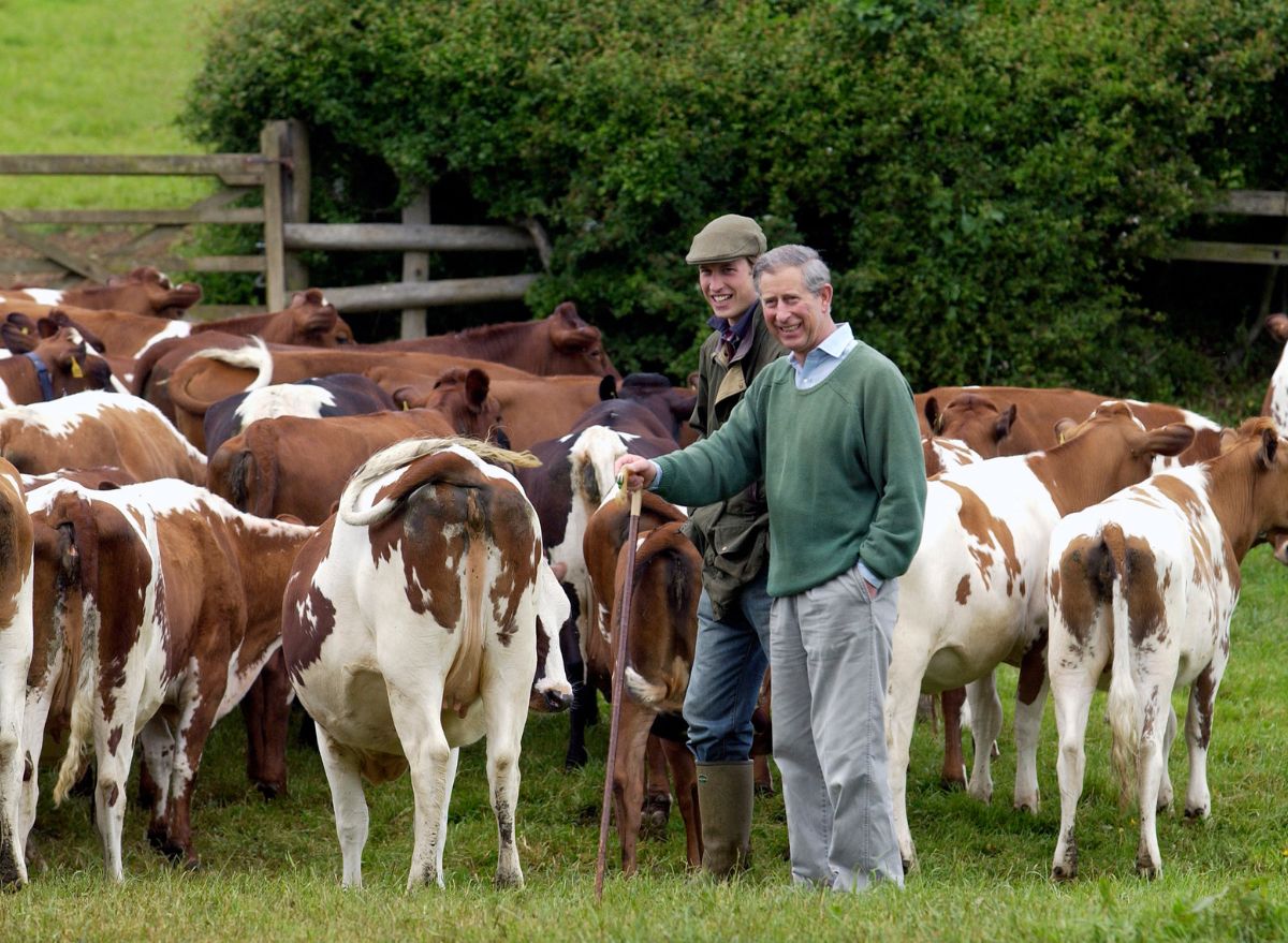 The Foods King Charles Eats Every Day To Remain Healthy at 73 — Eat