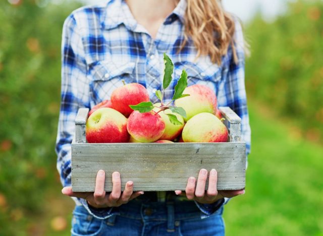 basket of apples