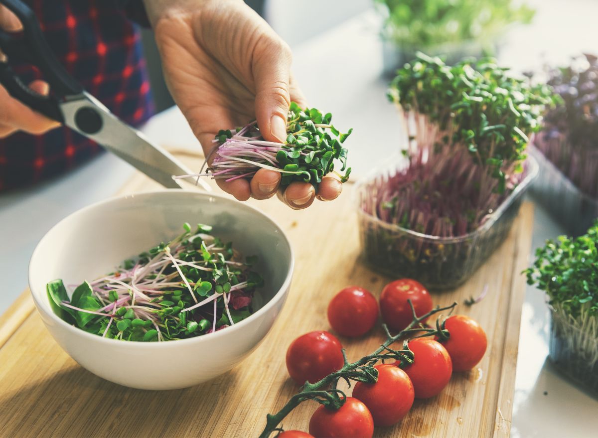 cutting microgreens