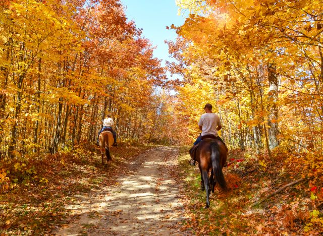 two people fall horseback riding