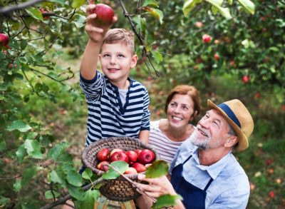 family apple picking season
