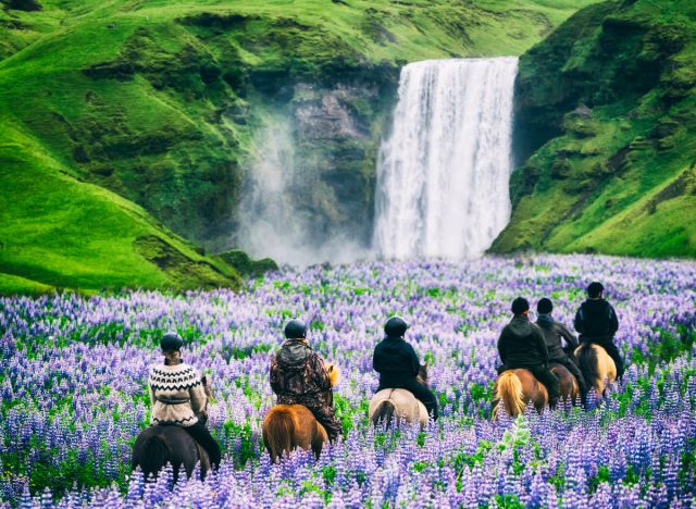 group of horseback riders in Iceland going to waterfall through meadow